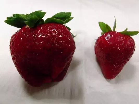 注意了，草莓扎堆上市，这几种草莓可买不得！