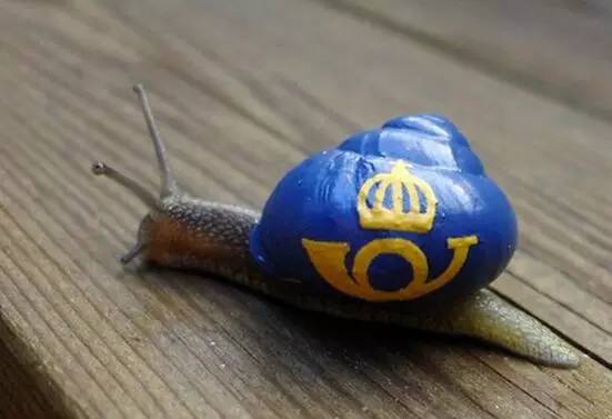 鉴赏丨小蜗牛大创意！蜗牛壳上的彩绘作品，既暖心又美观！