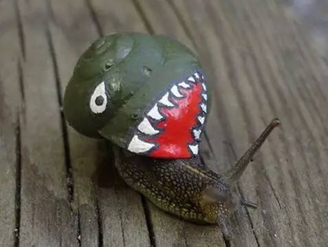 鉴赏丨小蜗牛大创意！蜗牛壳上的彩绘作品，既暖心又美观！
