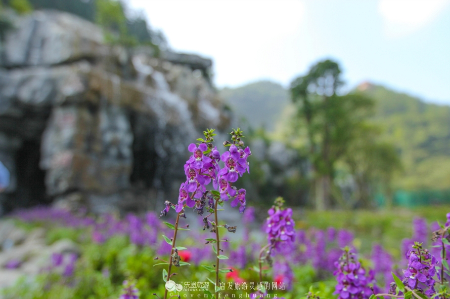 Pass through remote antiquity hole, source of secret condition peach blossom