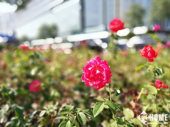 前后雙攝配流行全面屏 華為麥芒6搶先評測