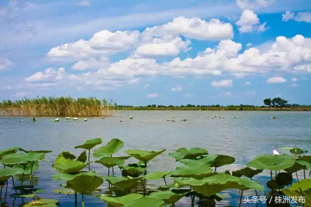 湖南旅游最值得去的6个地方！号称湖南最美！你去对了吗？