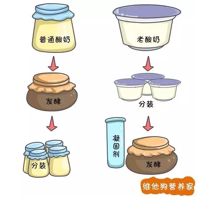 发酵乳、优酪乳、老酸奶、风味酸奶等众多酸奶到底有啥区别？3分钟治好你的选择困难症｜我们