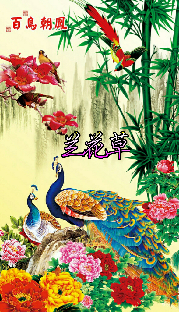 美圖壁紙 百鳥朝鳳 你的留言很幸運第一季 亞洲食譜圖書館