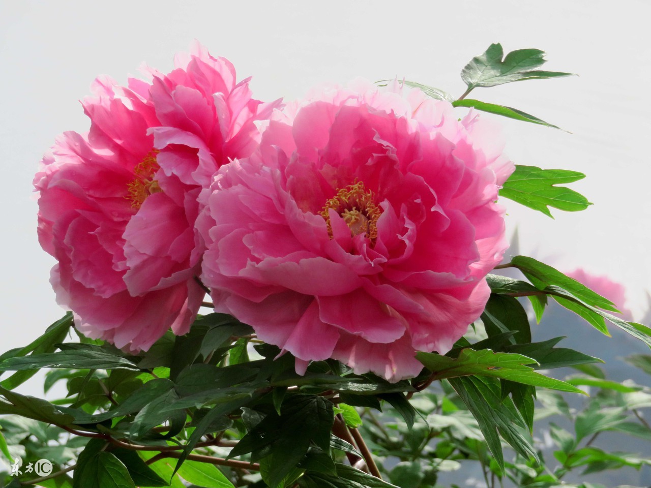 为了养家，拼命赚钱，为了孩子，委屈自己，为了家人，埋藏心酸