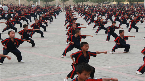 七岁在少林寺武校学习跆拳道的孩子