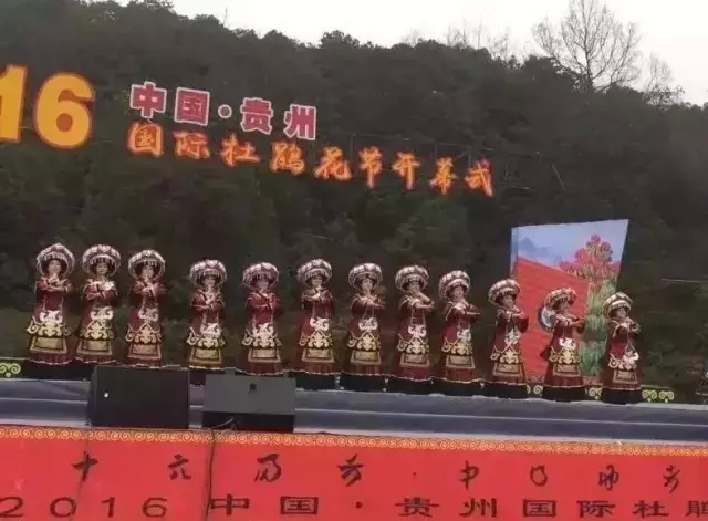 百里杜鹃国际杜鹃节开幕式，赏杜鹃祭花神震撼上演！