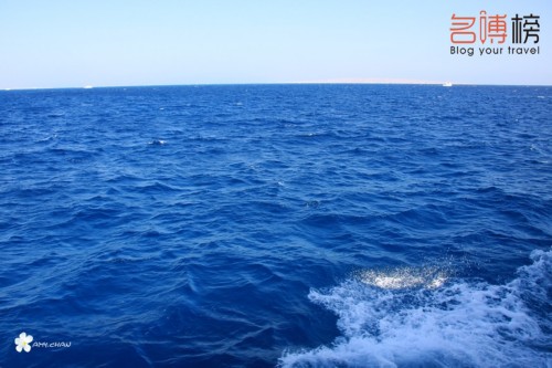 埃及 让人惊叹的红海之蓝