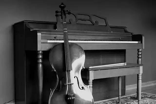 钢琴&大提琴，一对拆不散的音乐搭档