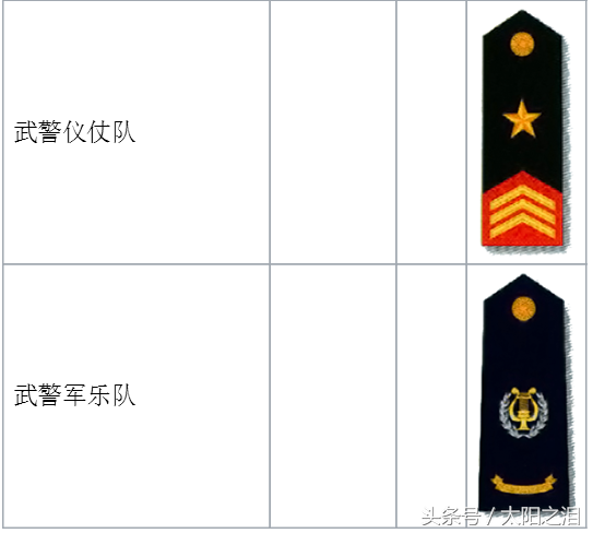 武警肩章级别图解图片