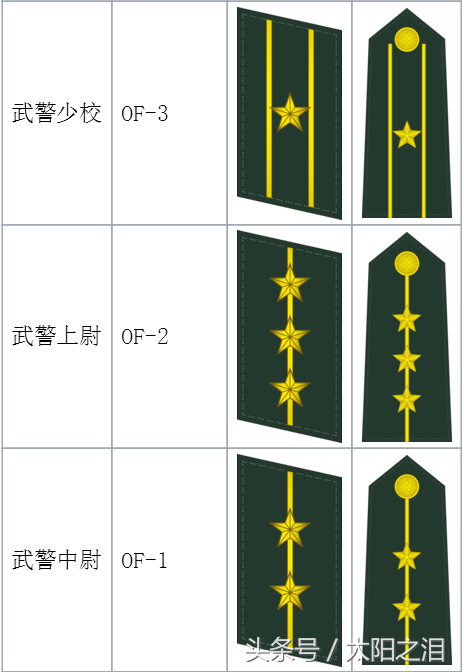 武警换21式警衔图片