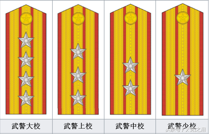 武警肩章级别图片