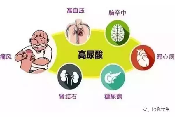 高尿酸该如何调理 尿酸高的吃这些准错不了