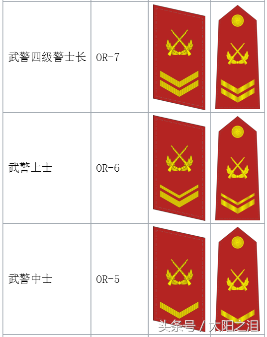 武警肩章级别图片