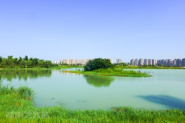 洋湖溼地公園長沙洋湖垸溼地公園介紹