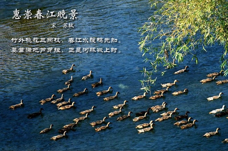 鸟语花香古诗词，婉转悦耳妙及了-第18张图片-非凡网