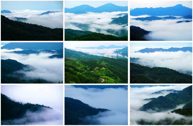 藏着一处大自然造化无限的景区--天宝岩