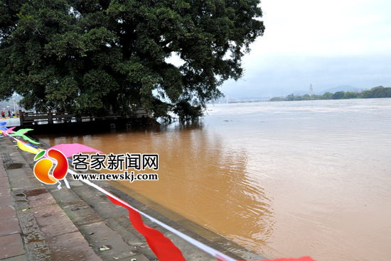 洪水淹没章贡两江栈道 龟角尾公园等处被警戒