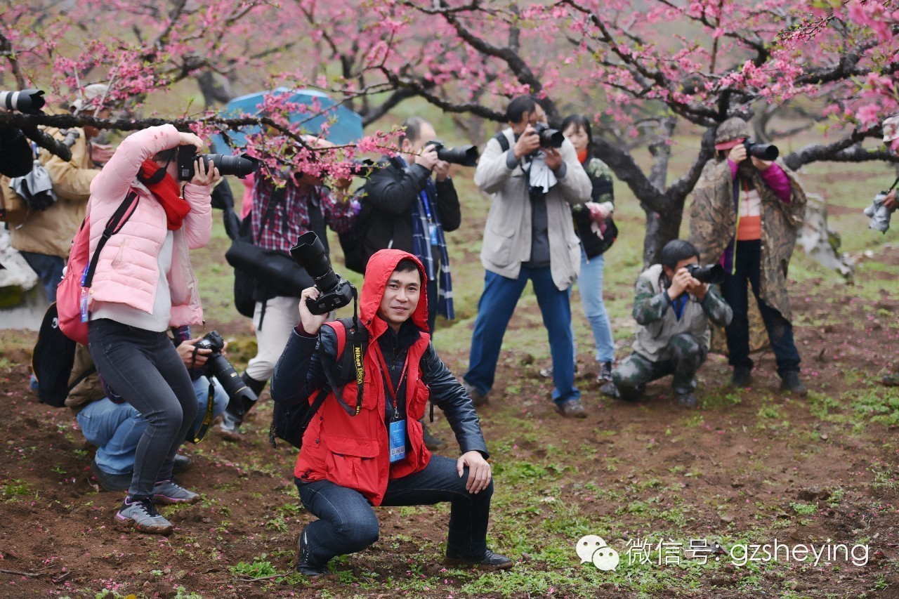 摄影活动 总结篇3月12-13日连平桃花人像摄影采风之旅活动总结