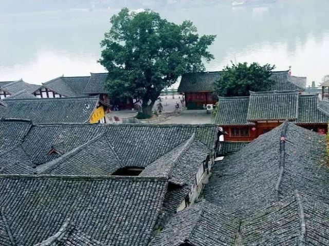 四川小青磚