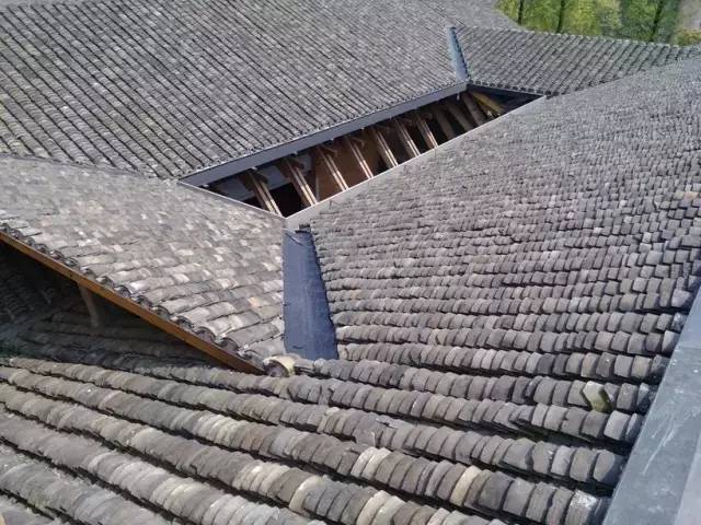 .美小青磚