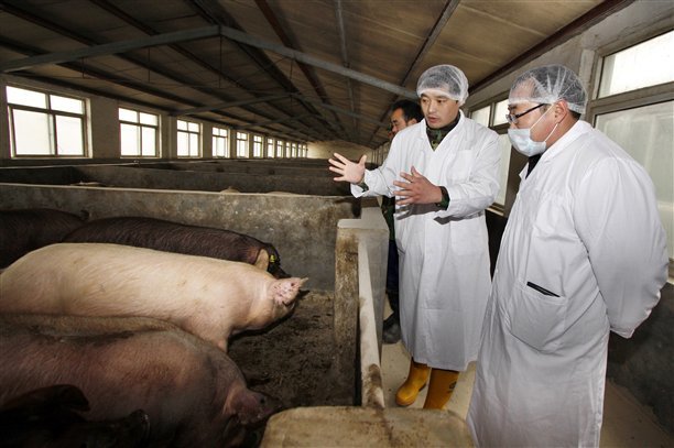 阳谷“猪倌”孟宪壮当选2015年度“全国十佳农民”