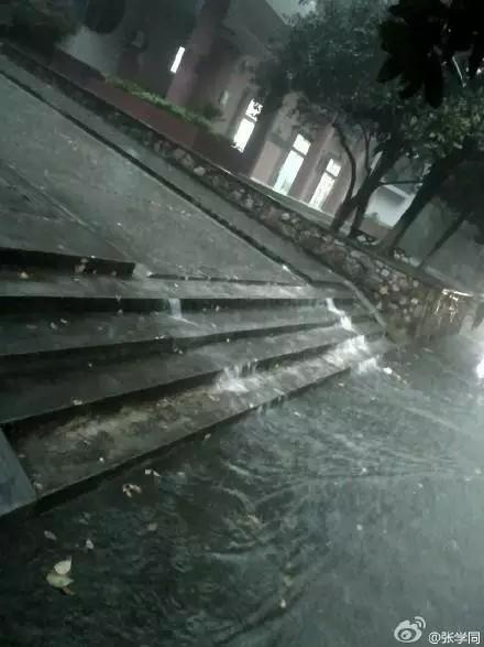 武汉的天气又调皮了！暴雨袭城，以下是您出行的正确方式！必看！