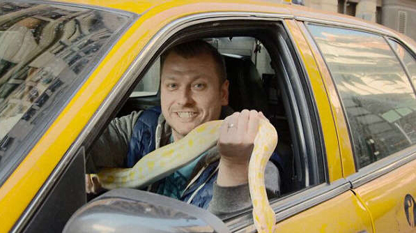 出租车司机竟在车里藏蟒蛇，并拍摄顾客见到蟒蛇反应，把人吓尿！