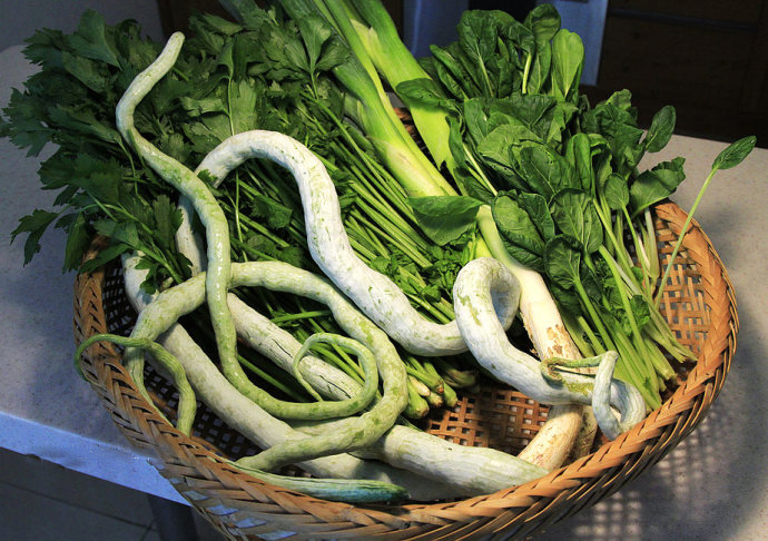 蔬菜界的“伪装者”－－蛇豆
