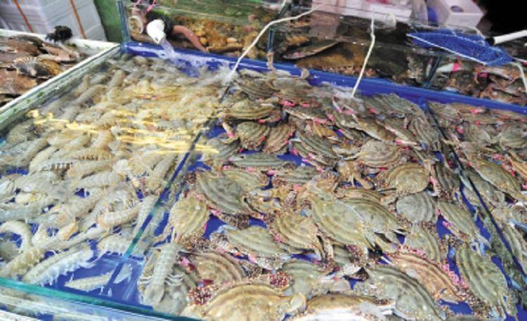 正到爆！广州海鲜市场攻略，便宜又生猛，助你吃遍海鲜无敌手