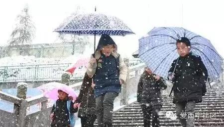 阳春三月，别人赏花时青海人竟然在看雪！