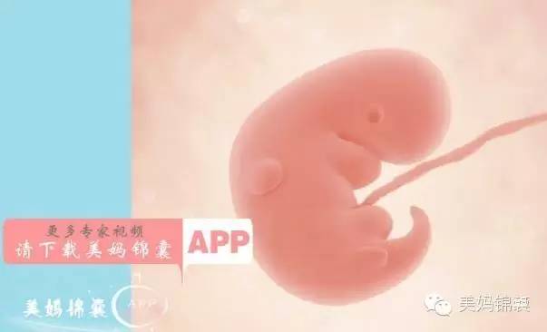 育儿专家郑玉巧：怀孕两个月准妈妈和胎宝宝都发生了那些变化？