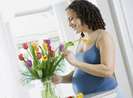 不看后悔！家有孕妇绝不能养的11种花！竟然全是常见的！