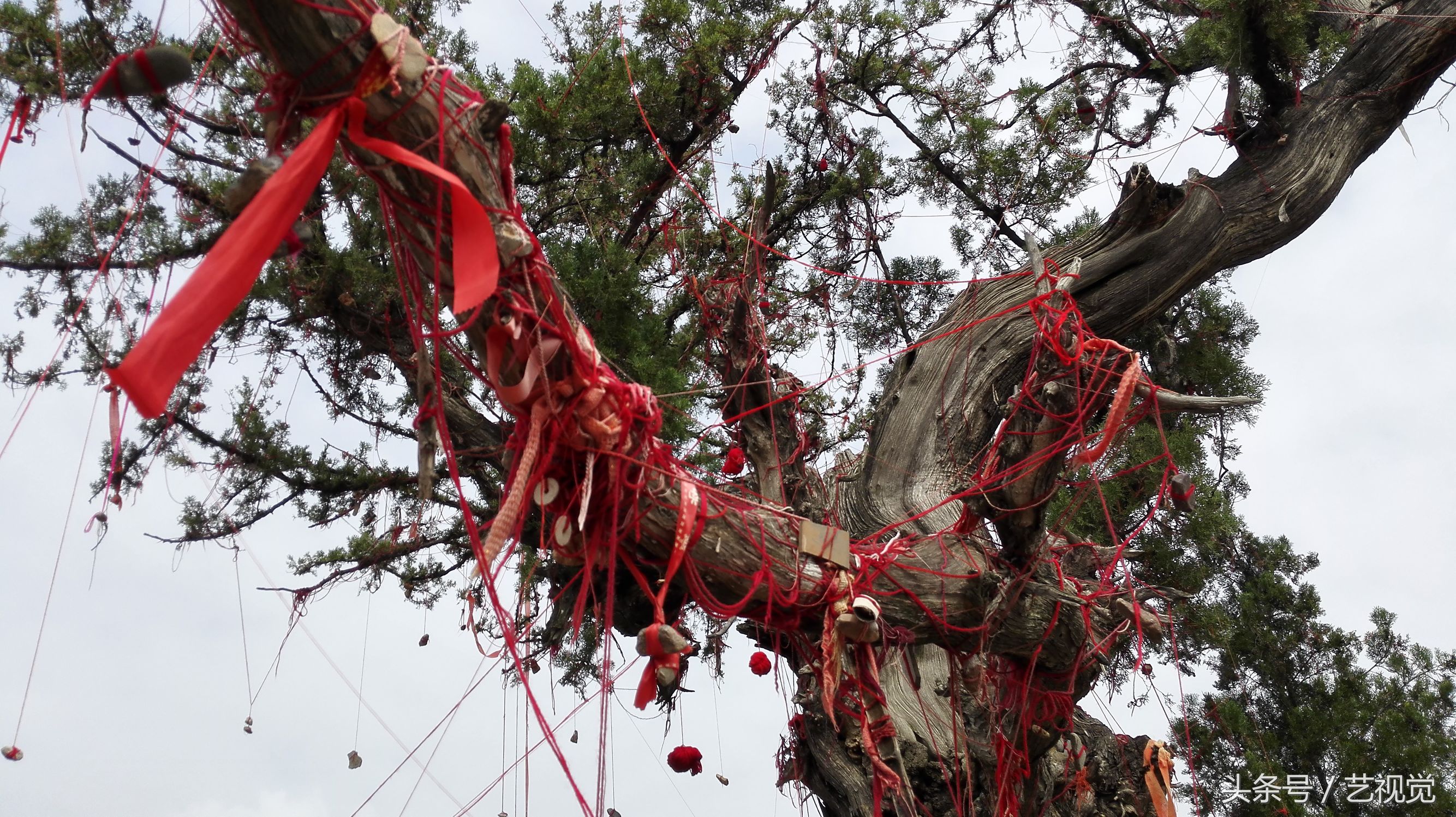 这个村里的孩子都认她做干娘，每年生日都来送礼磕头，祈求保佑