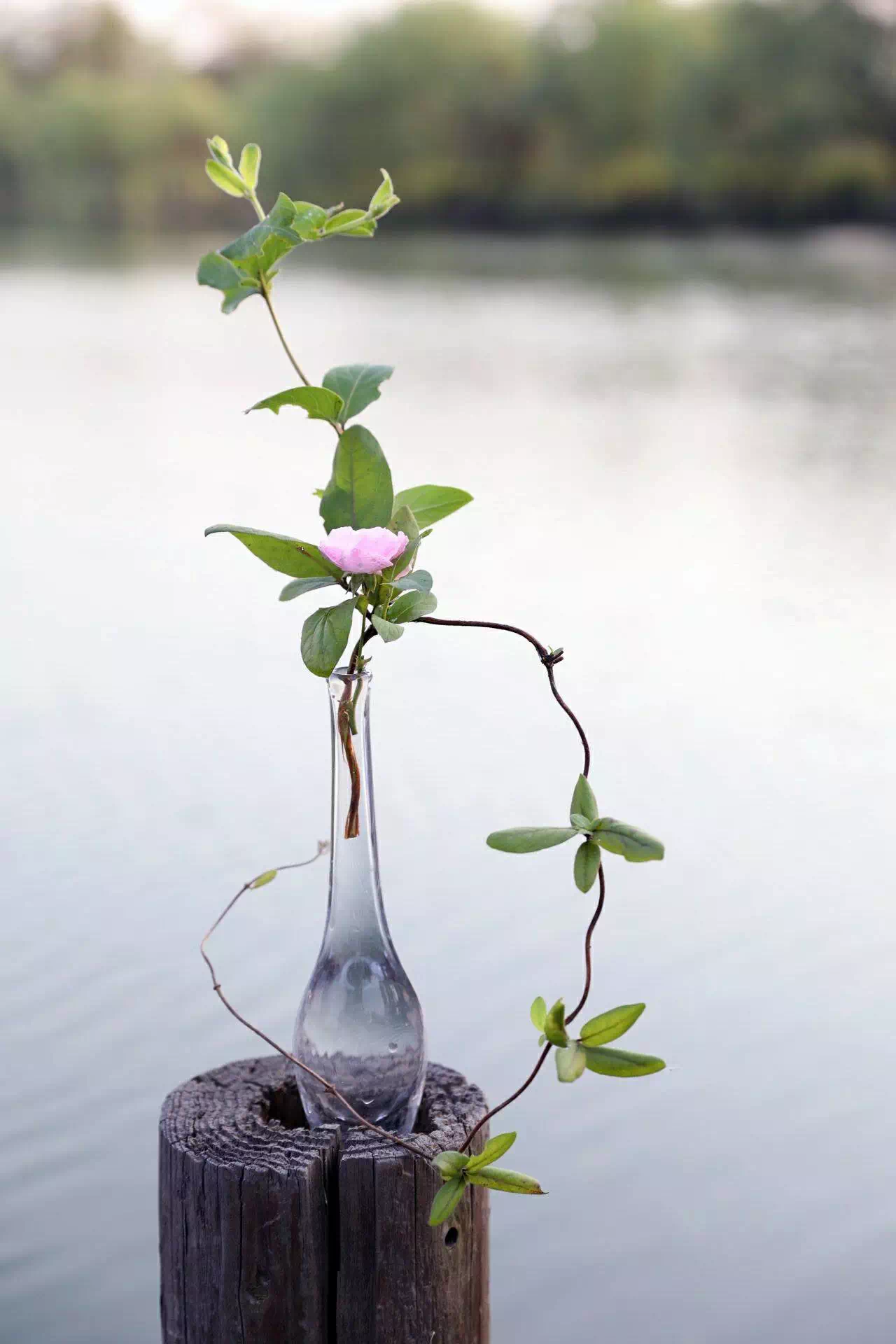 ⻨һ֦һҶܹ飬͵ø