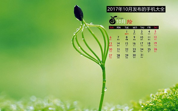 十月新机扎堆发布 2017年10月发布的手机全在这