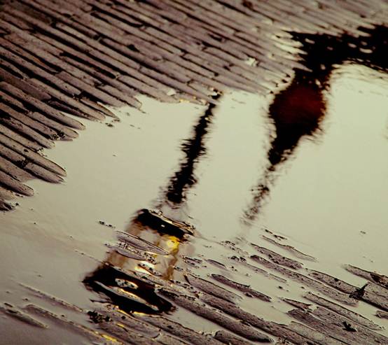 经典语录,快乐下午茶时间(171030-搞笑)