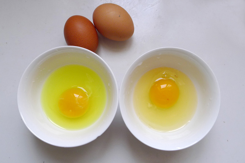 鸡蛋蛋清呈绿色 专家建议不要吃