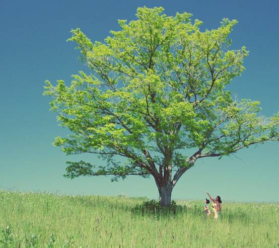 经典语录,快乐下午茶时间(171101-搞笑)