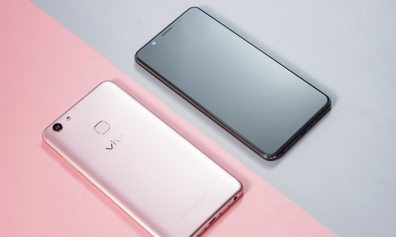 自拍照优异，vivo Y79全面屏手机刚开始预购