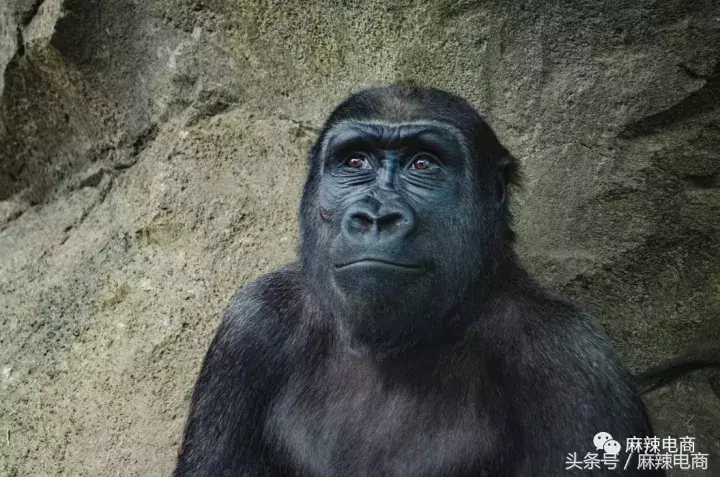现在,能够让你坐着在家就赚钱的几种方式,看你适合哪种?