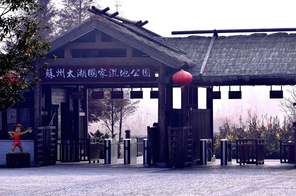 清明节，上海人来苏州扫哪门子墓？