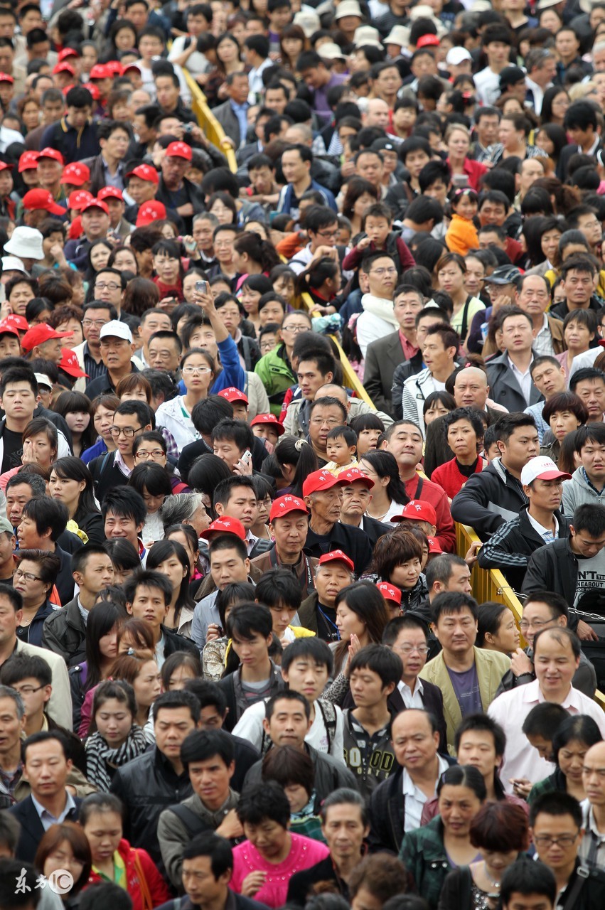 在上海外来人员中,哪个省人最多?