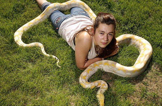 女孩养5米黄金蟒，当蟒蛇趴在女孩身上，女孩拿蛇时，简直吓人！