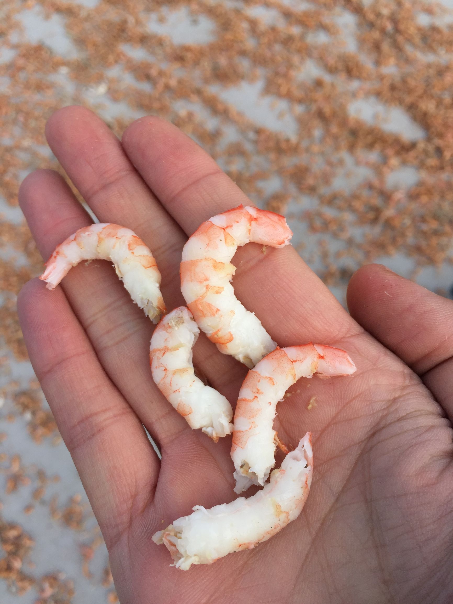 海米是什么样子的图片,干制品海米的营养价值介绍