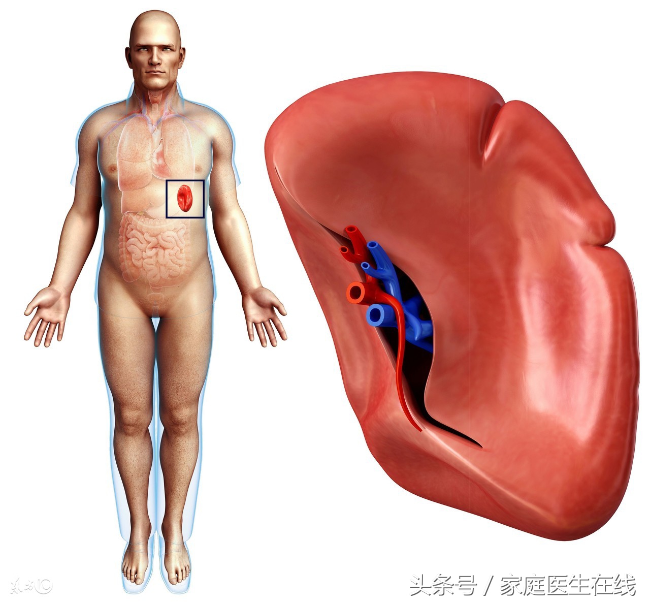 脸色发黄不是小事，可能是身体存在这两个问题了！