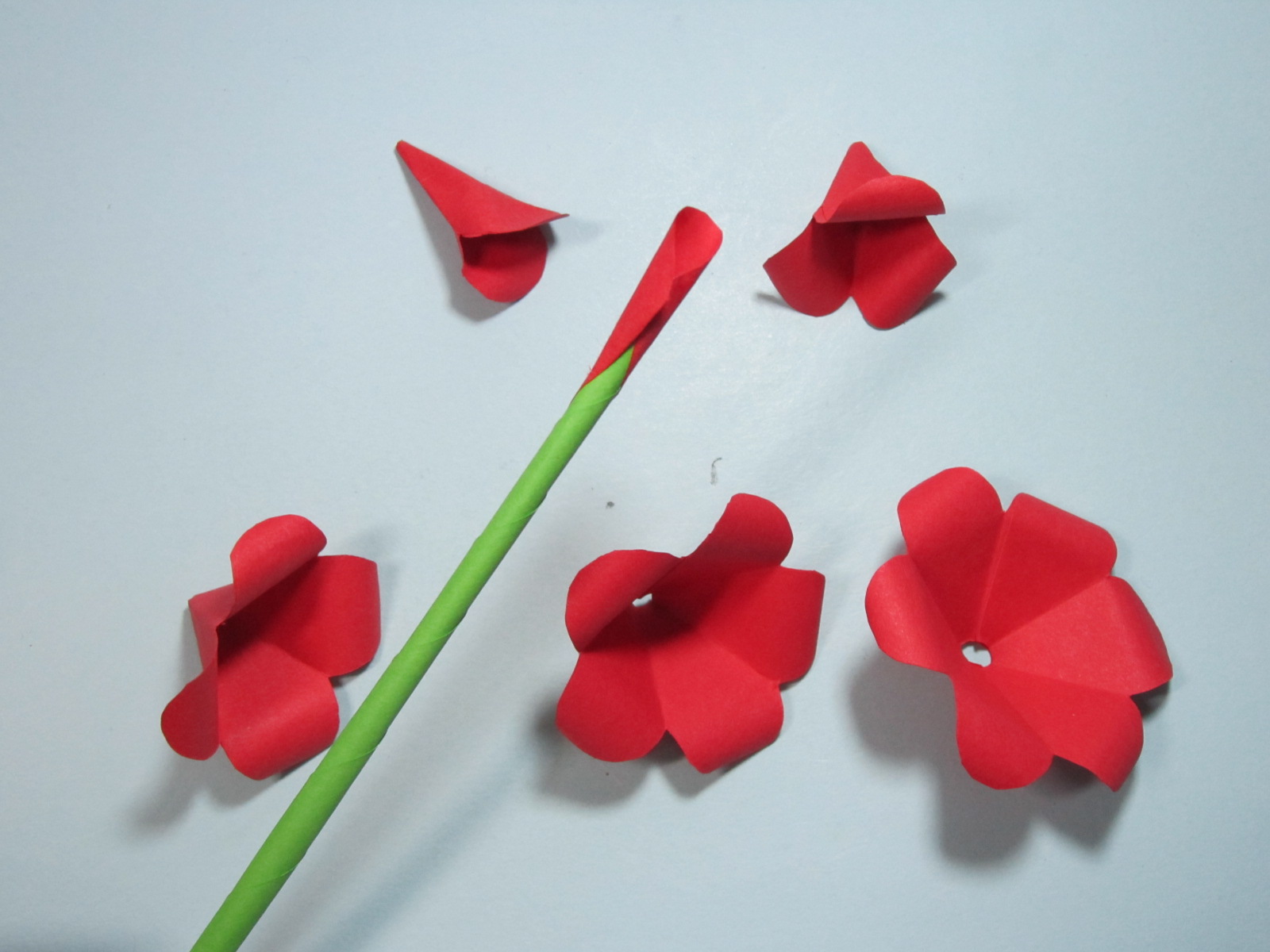 纸玫瑰花的折法(手工玫瑰花的折法步骤图解)