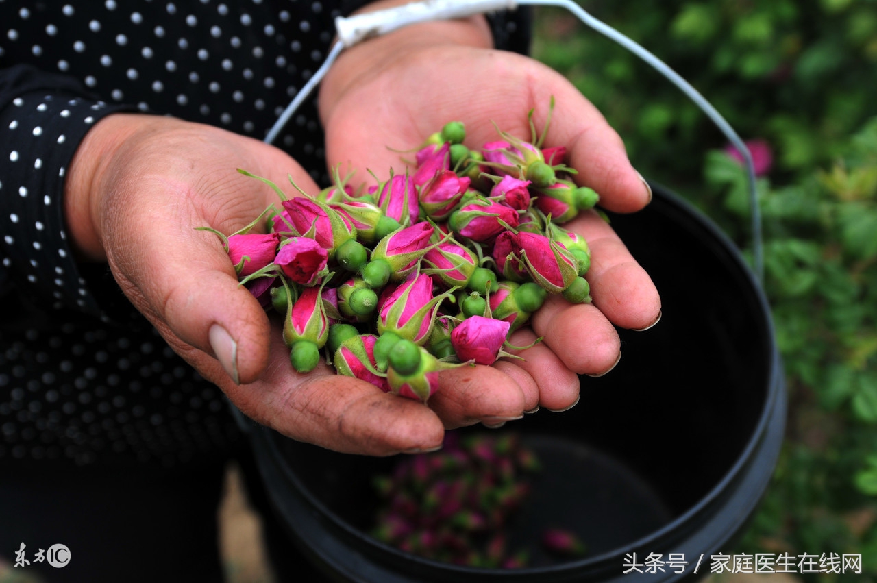 女人常喝玫瑰花茶，会有这3个好处！现在知道还来得及