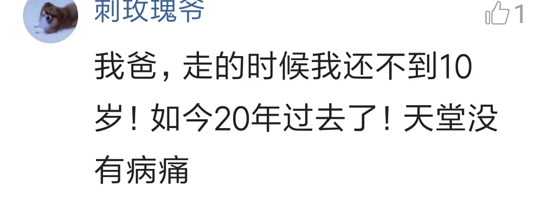 Want what to word say to gone family member? Netizen comment looks cried