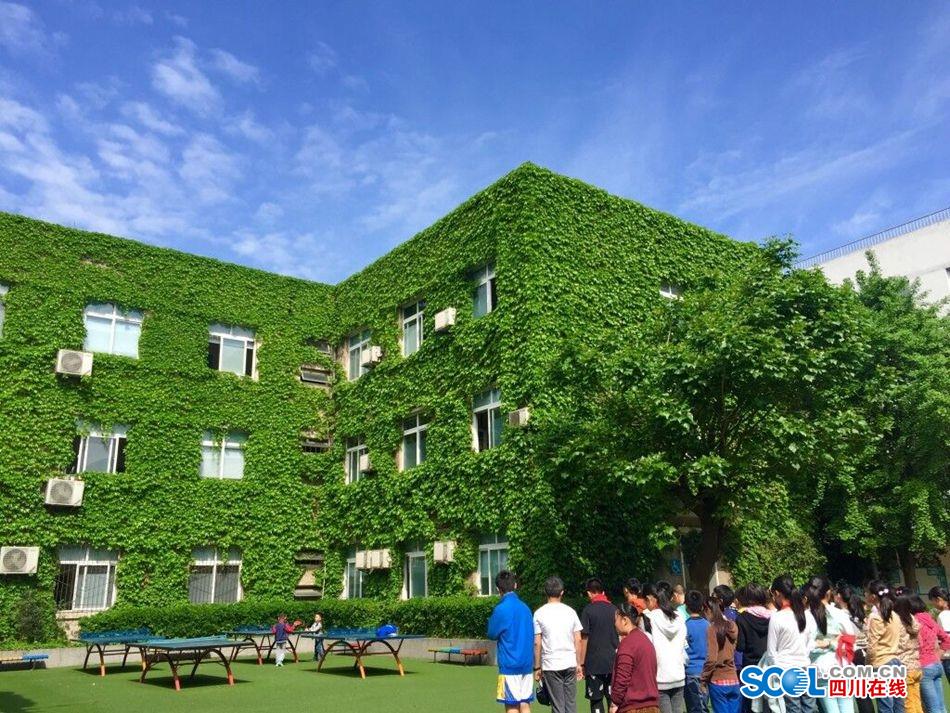 美呆了!成都玉林小学教学楼被爬山虎覆盖